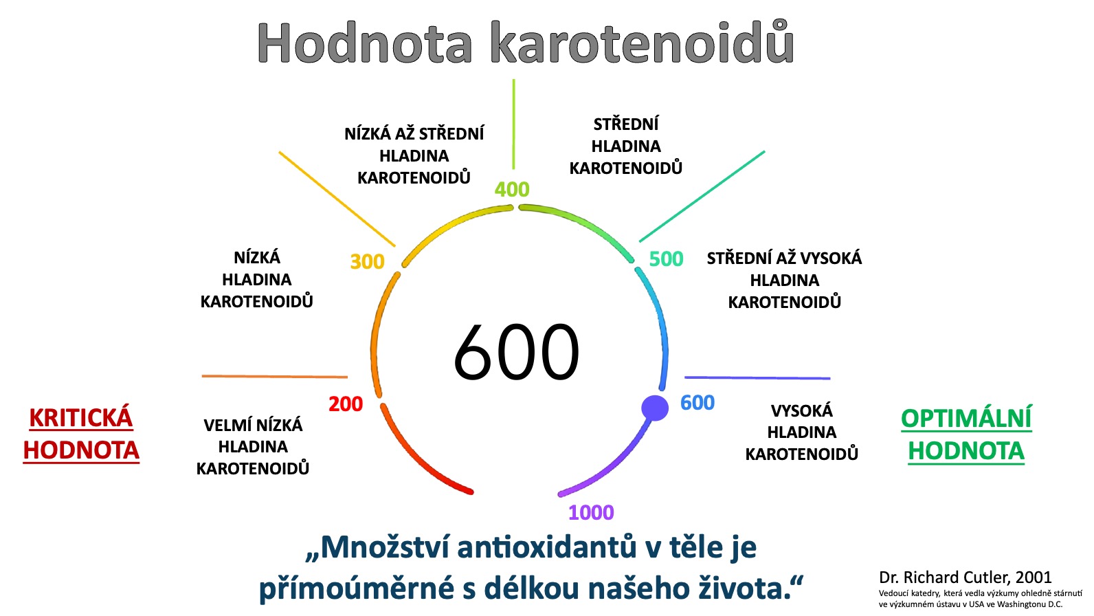 hodnoty
